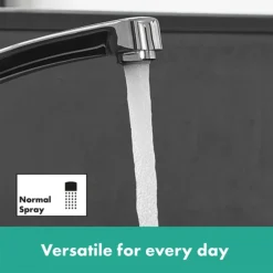 Hansgrohe Focus M41 Single Lever Kitchen Mixer 160 - Chrome 10 Hansgrohe Focus M41 Single Lever Kitchen Mixer 160 - Chrome -Espaces Bain Shop 31806000ai2