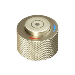 Arezzo Brushed Brass Industrial Style 1-Touch Basin Tap -Espaces Bain Shop azis1tbbd1