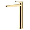 RAK Petit Round Tall Basin Mixer Tap Brushed Gold