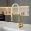 The Tap Factory Vibrance Tube Brushed Brass Kitchen Tap With Spray Function -Espaces Bain Shop tfvtsbbwhite l