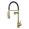 Venice Brushed Brass Kitchen Sink Mixer With Smooth Rubber Hose And Flexi Spray -Espaces Bain Shop vnksm387 d1